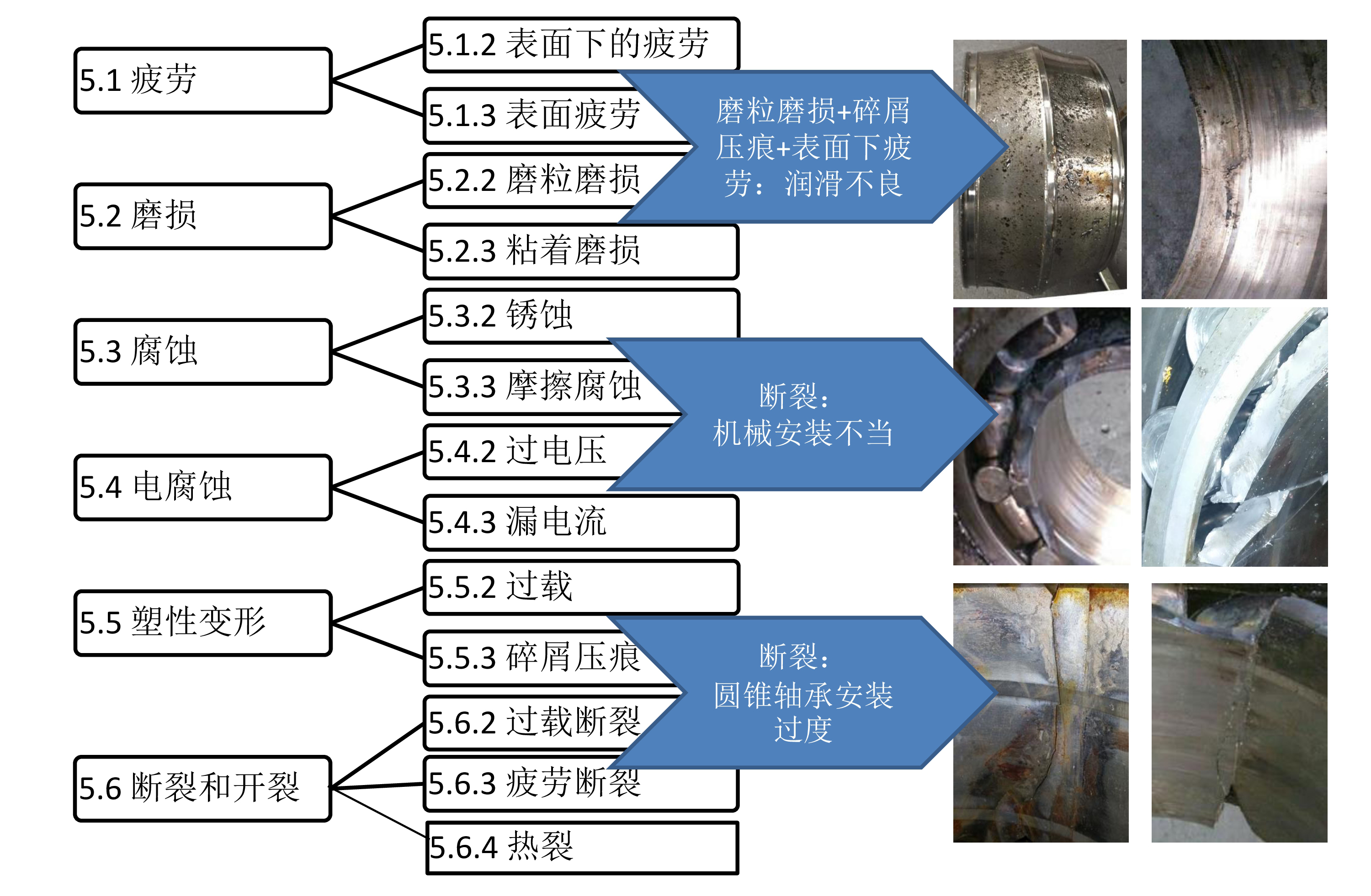 澳门最准五肖网址