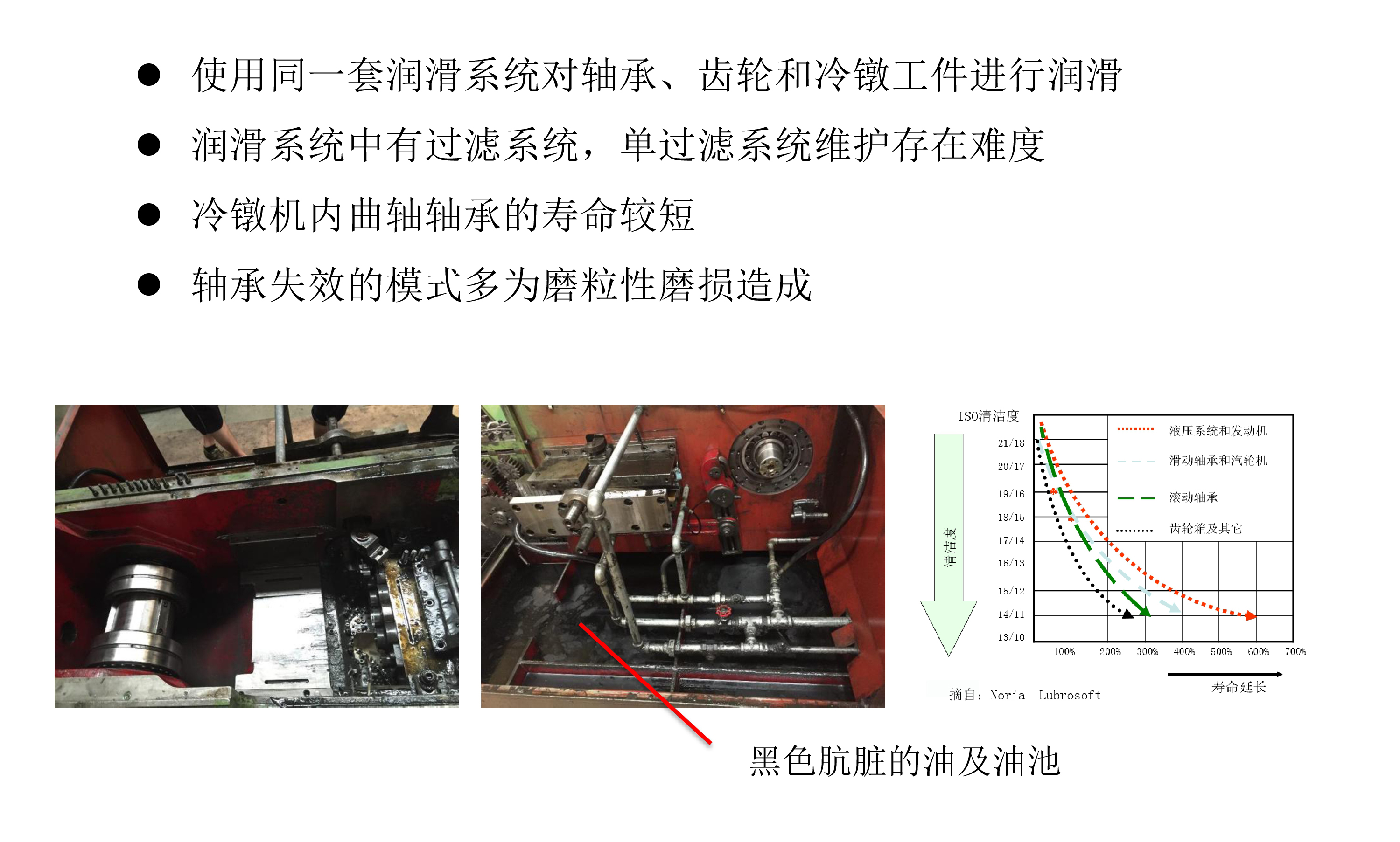 澳门最准五肖网址